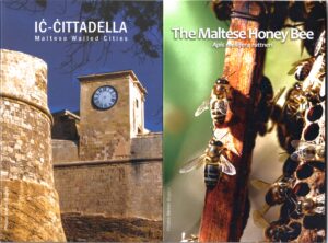 2024 Malta € 2 Api e Cittadella di Gozo coppia in Coin Card