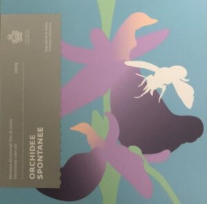 2025 San Marino Divisionale 9 valori